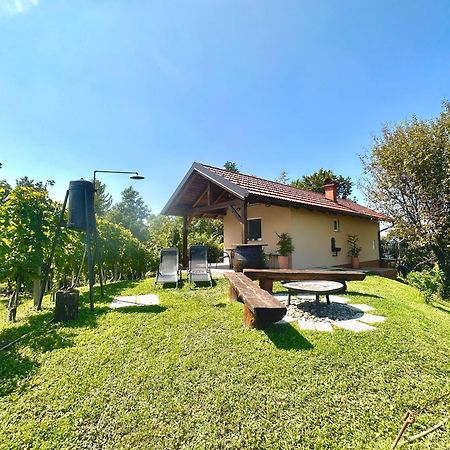 Holiday House Tomajna Podlehnik Kültér fotó