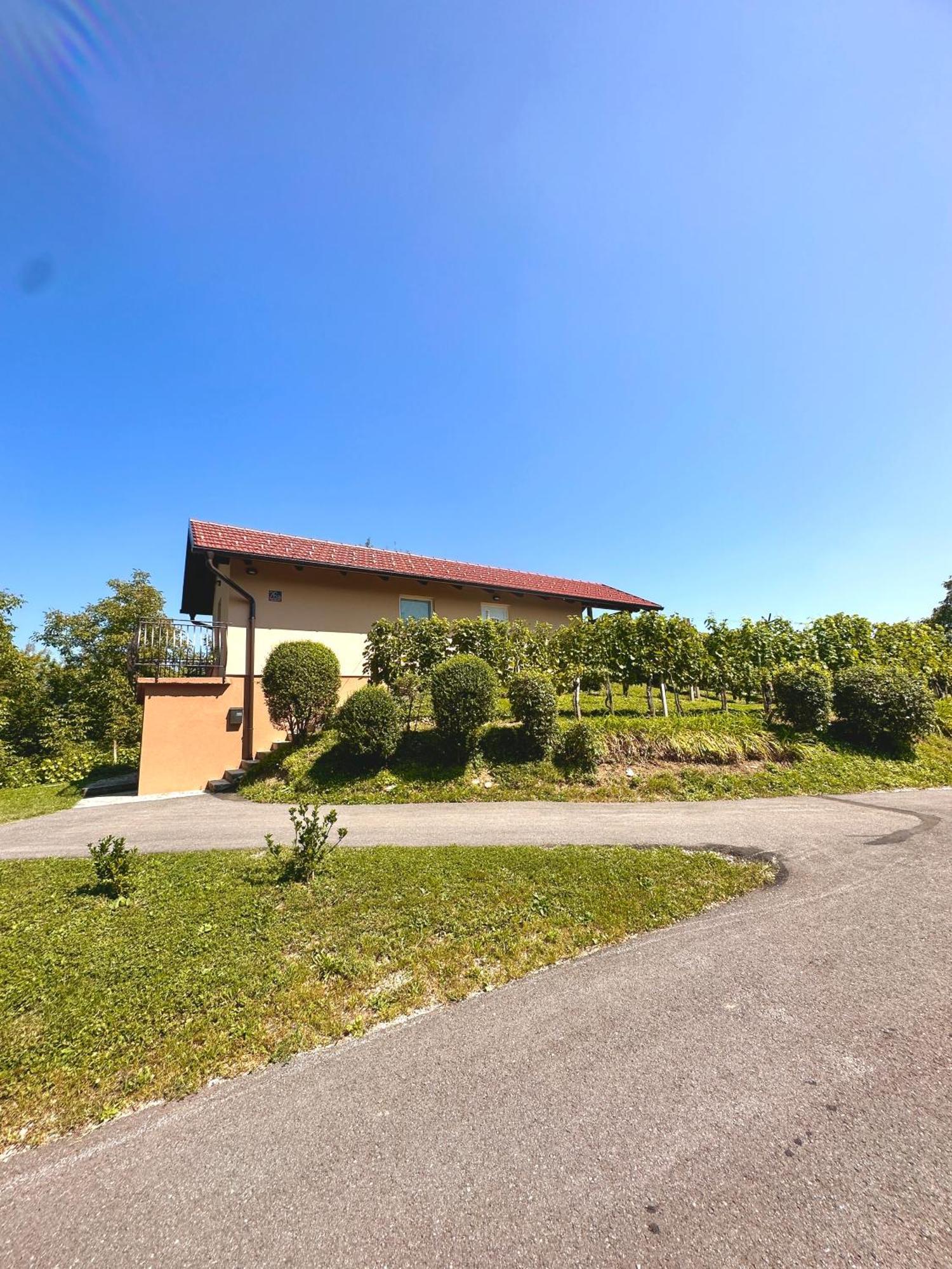 Holiday House Tomajna Podlehnik Kültér fotó